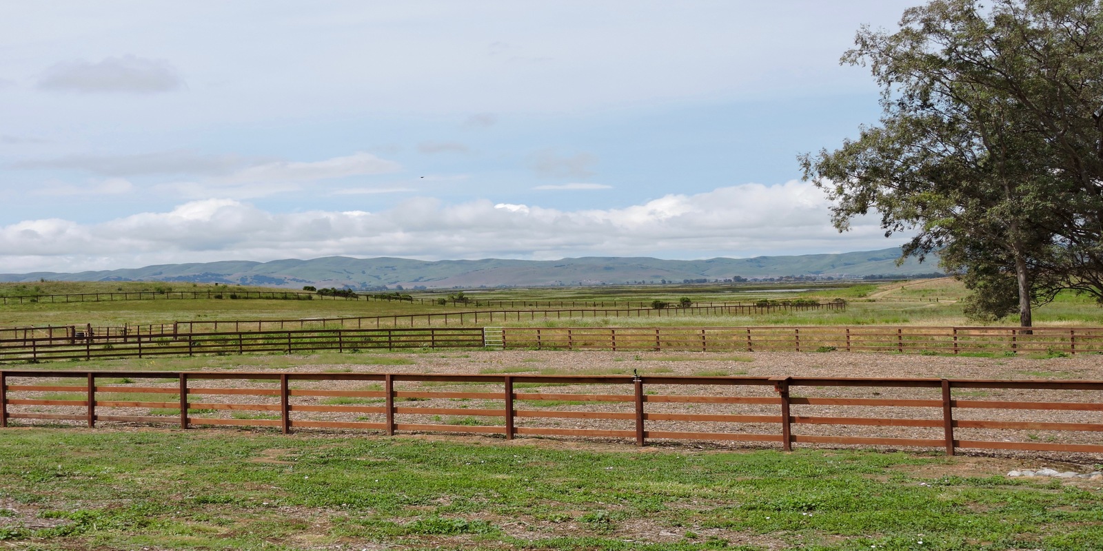 Image of Rush Ranch Open Space